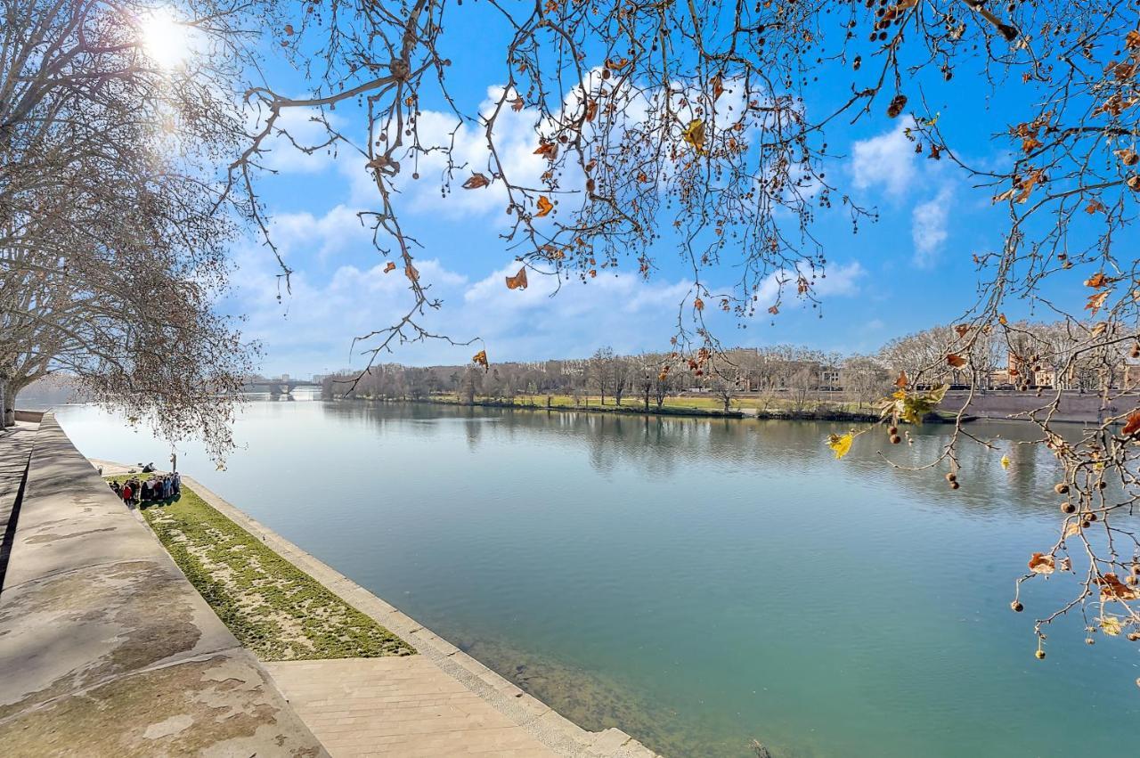 L'Ile Aux Tounis - T3 Moderne Centre De Toulouse Apartman Kültér fotó